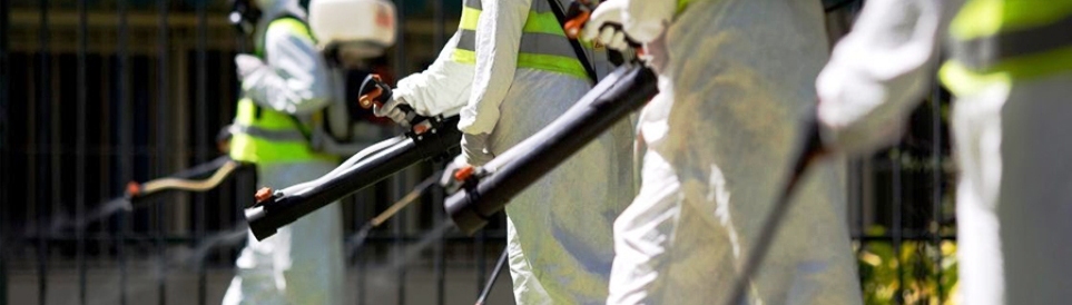 exterminators.gr Αθήνα Απεντομώσεις Μυοκτονίες Απολυμάνσεις